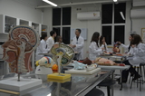 <p>Laboratório de Anatomia Humana</p>