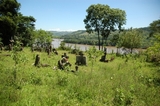 Vista parcial do Cemitério Lageado Leão em Alpestre/RS.
