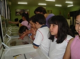 Visita de alunos na exposição em Ipuaçú.