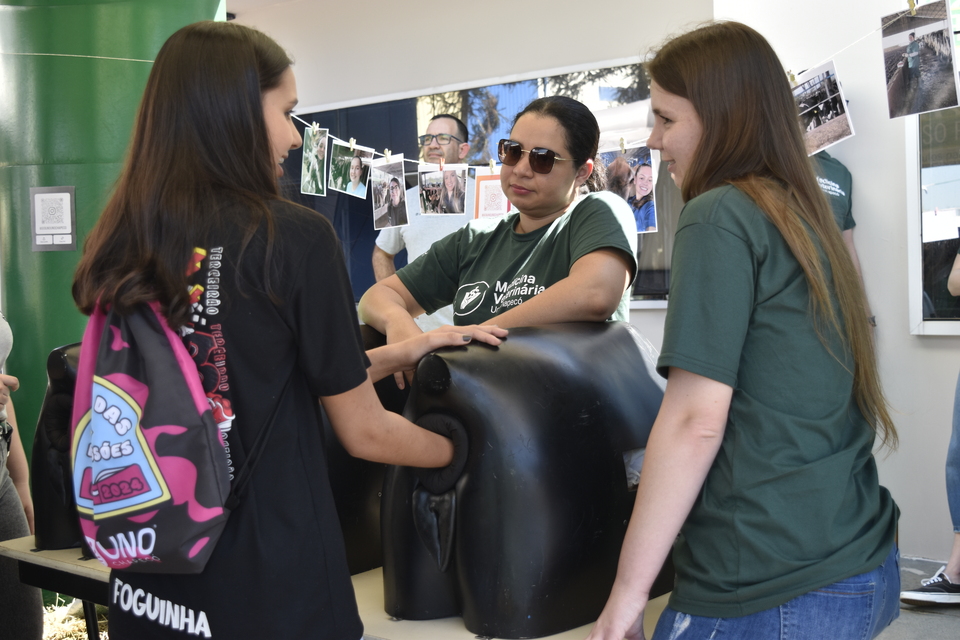 <p>Mais de 3 mil estudantes participaram de uma tarde repleta de atividades práticas e aprendizado.</p>