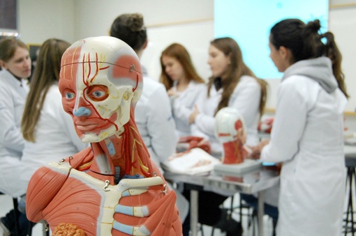 Curso De Medicina Da Unochapecó Já Formou 115 Médicos E Atualmente Conta Com 240 Alunos 9501